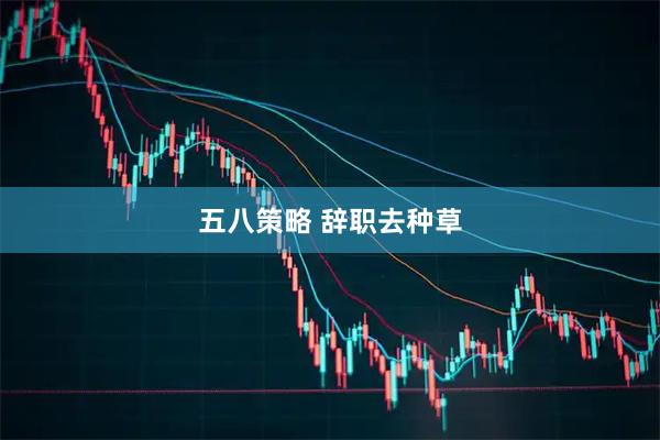 五八策略 辞职去种草