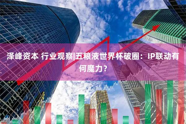 泽峰资本 行业观察|五粮液世界杯破圈:IP联动有何魔力?